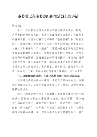 市委书记在市委办组织生活会上的讲话