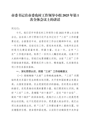 市委书记在市委农村工作领导小组2025年第1次全体会议上的讲话