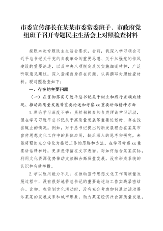 市委宣传部长在某某市委常委班子、市政府党组班子召开专题民主生活会上对照检查材料