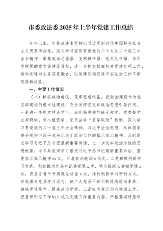 市委政法委2025年上半年党建工作总结