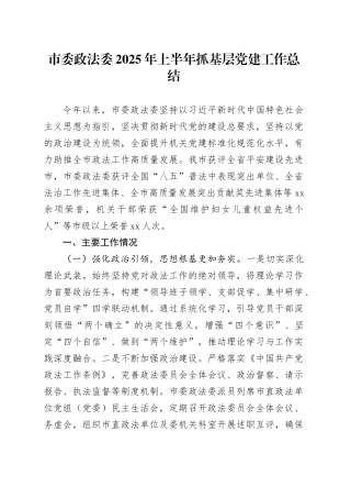 市委政法委2025年上半年抓基层党建工作总结