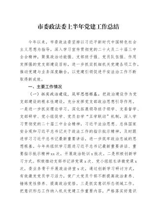 市委政法委上半年党建工作总结