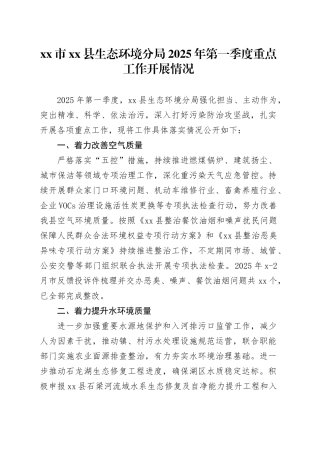 市县生态环境分局2025年第一季度重点工作开展情况