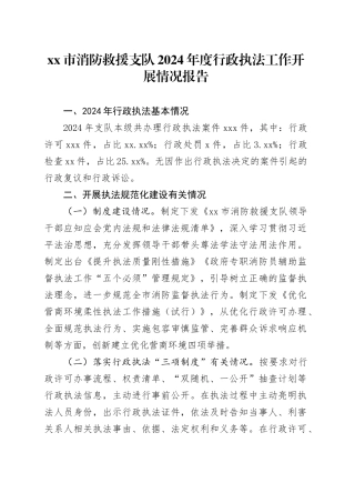 市消防救援支队2024年度行政执法工作开展情况报告