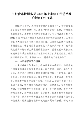 市行政审批服务局2025年上半年工作总结及下半年工作打算