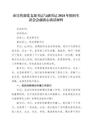 市宣传部党支部书记与副书记2024年组织生活会会前谈心谈话材料