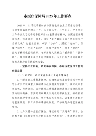市医疗保障局2025年工作要点（1）