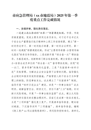 市应急管理局（市地震局）2025年第一季度重点工作完成情况