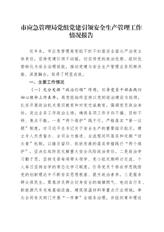 市应急管理局党组党建引领安全生产管理工作情况报告