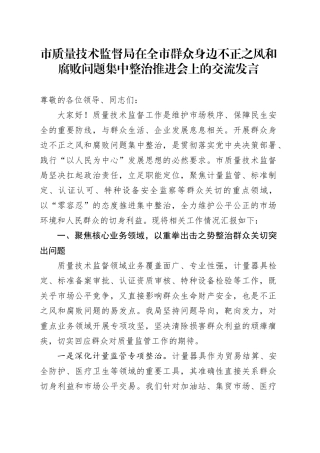 市质量技术监督局在全市群众身边不正之风和腐败问题集中整治推进会上的交流发言