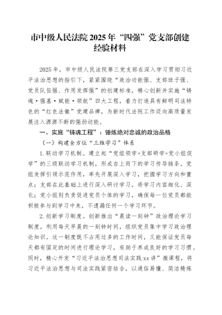市中级人民法院2025年“四强”党支部创建经验材料