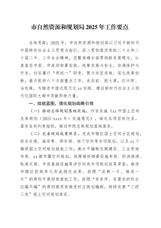 市自然资源和规划局2025年工作要点