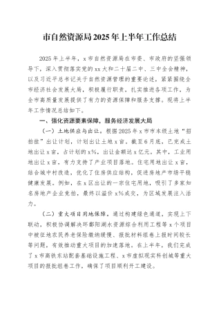 市自然资源局2025年上半年工作总结