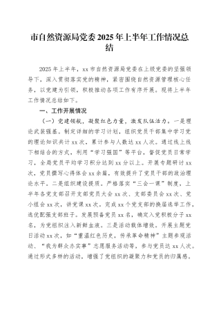 市自然资源局党委2025年上半年工作情况总结（1）