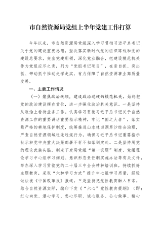 市自然资源局党组上半年党建工作打算