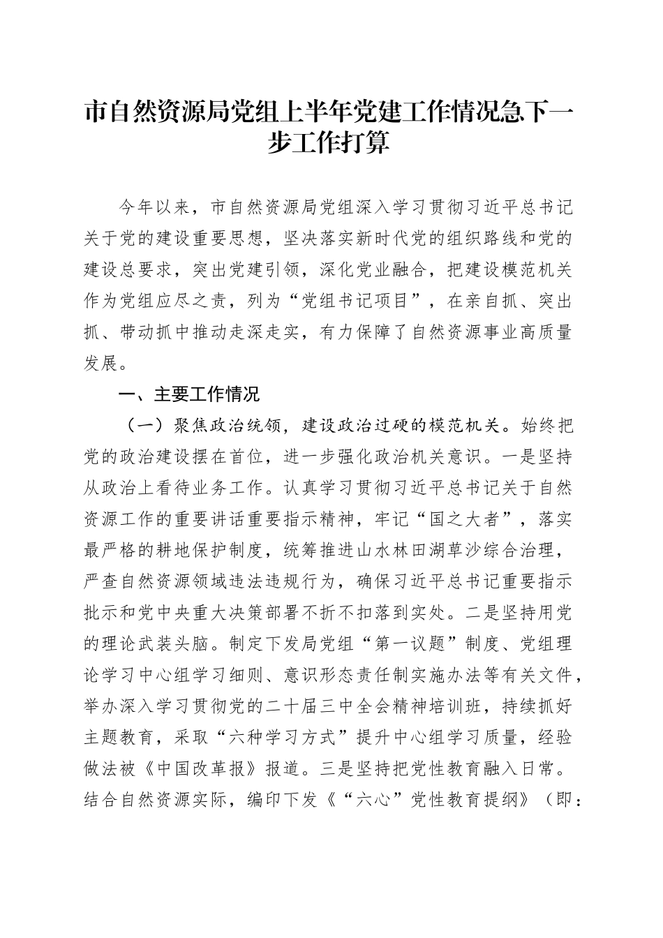 市自然资源局党组上半年党建工作情况急下一步工作打算_第1页