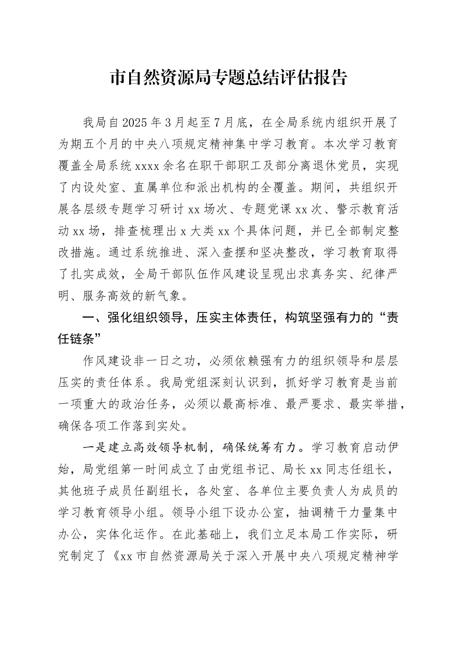 市自然资源局专题总结评估报告_第1页