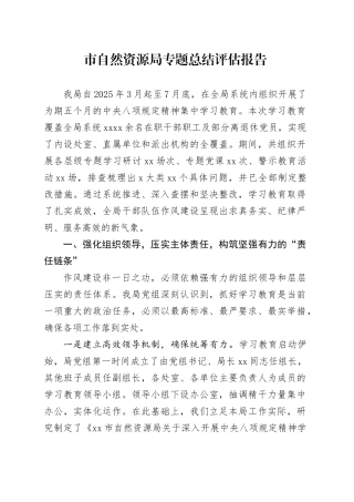 市自然资源局专题总结评估报告