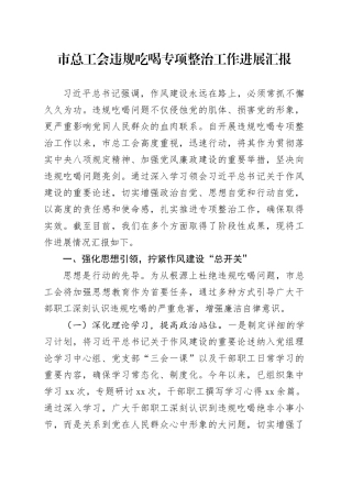 市总工会违规吃喝专项整治工作进展汇报