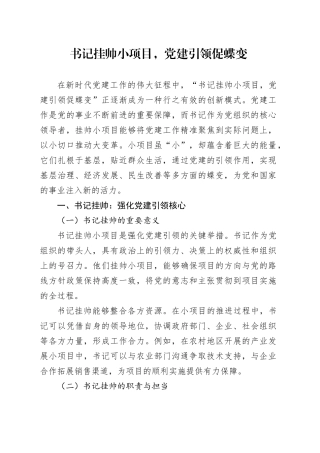 书记挂帅小项目，党建引领促蝶变