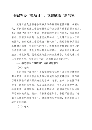书记领办“微项目”，党建赋能“新气象”
