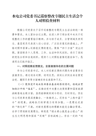 水电公司党委书记巡察整改专题民主生活会个人对照检查材料