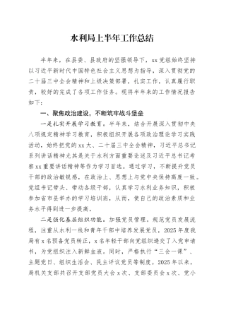 水利局上半年工作总结