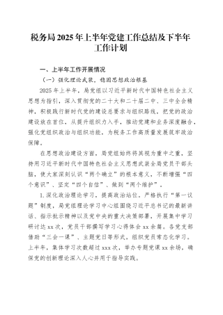 税务局2025年上半年党建工作总结及下半年工作计划
