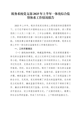 税务系统党支部2025年上半年一体化综合监督体系工作情况报告