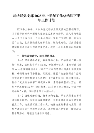 司法局党支部2025年上半年工作总结和下半年工作计划