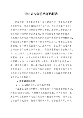 司法局专题总结评估报告