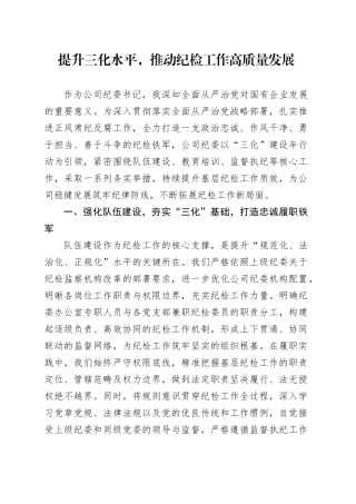 提升三化水平，推动纪检工作高质量发展