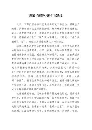 统筹消费软硬环境建设