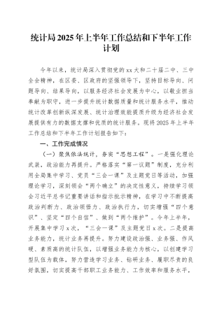 统计局2025年上半年工作总结和下半年工作计划
