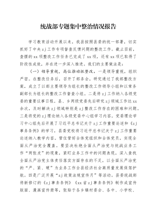 统战部专题集中整治情况报告
