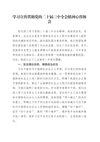 团市委青年干部15学习宣传贯彻党的二十届三中全会精神心得体会