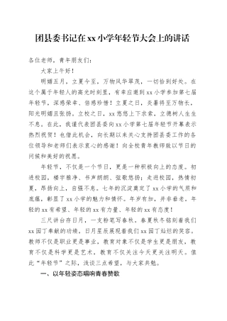 团县委书记在xx小学年轻节大会上的讲话