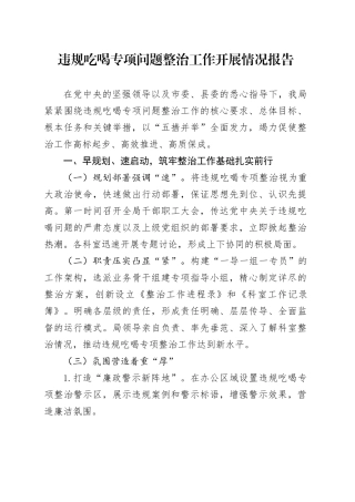 违规吃喝专项问题整治工作开展情况报告