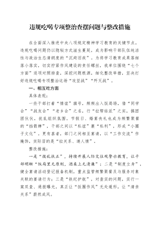 违规吃喝专项整治查摆问题与整改措施20250723