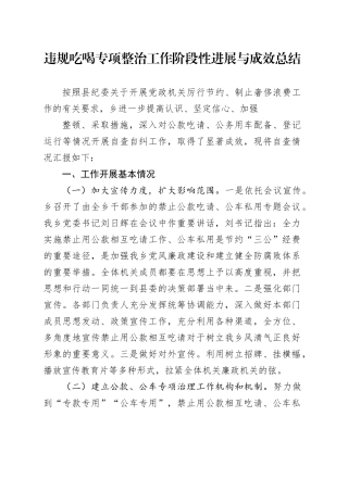 违规吃喝专项整治工作阶段性进展与成效总结