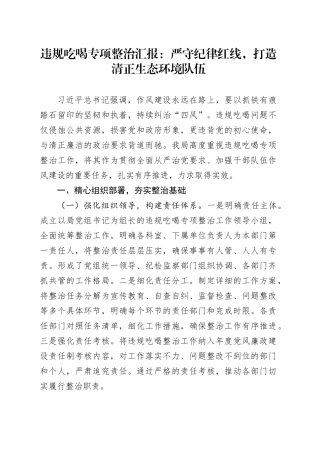 违规吃喝专项整治汇报：严守纪律红线，打造清正生态环境队伍