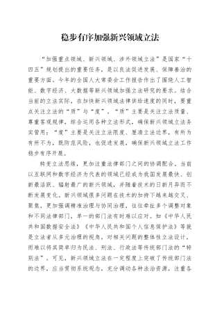 稳步有序加强新兴领域立法