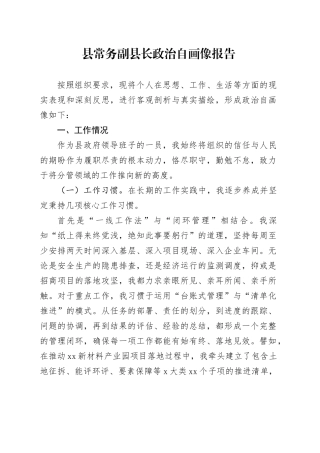 县常务副县长政治自画像报告