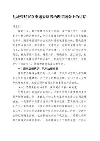 县城管局在夏季露天烧烤治理专题会上的讲话