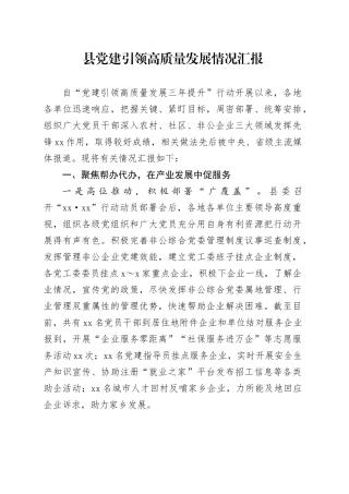 县党建引领高质量发展情况汇报