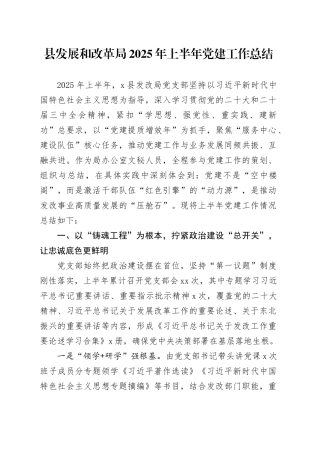 县发展和改革局2025年上半年党建工作总结