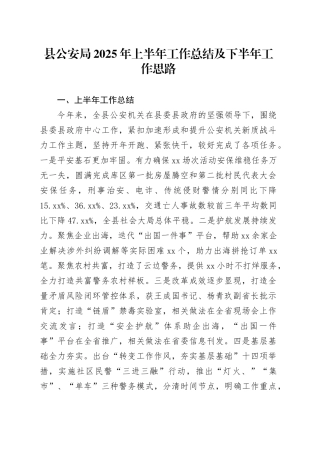 县公安局2025年上半年工作总结及下半年工作思路