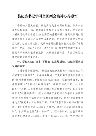 县纪委书记学习全国两会精神心得感悟