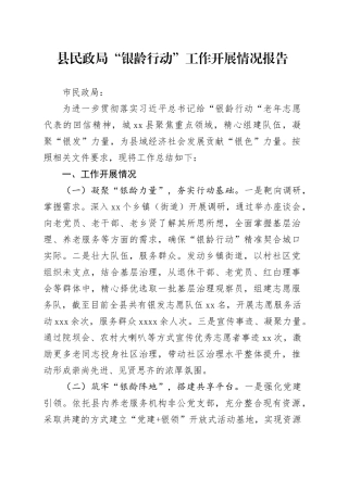 县民政局“银龄行动”工作开展情况报告