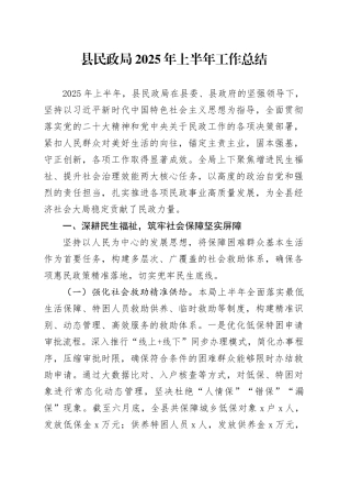 县民政局2025年上半年工作总结